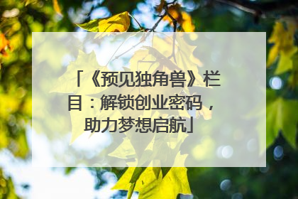 《预见独角兽》栏目：解锁创业密码，助力梦想启航