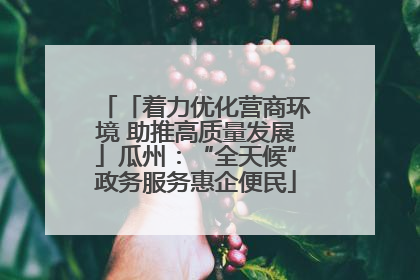 「着力优化营商环境 助推高质量发展」瓜州：“全天候”政务服务惠企便民