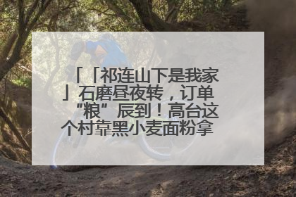 「祁连山下是我家」石磨昼夜转，订单“粮”辰到！高台这个村靠黑小麦面粉拿下成立来最大订单