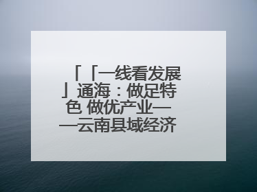 「一线看发展」通海：做足特色 做优产业——云南县域经济样本观察之二