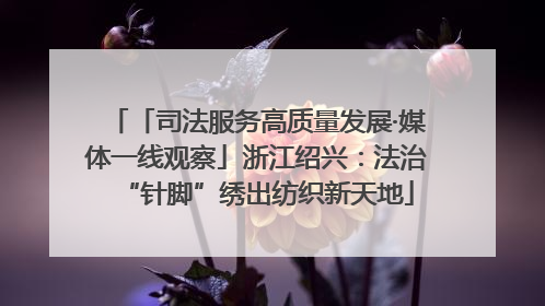 「司法服务高质量发展·媒体一线观察」浙江绍兴：法治“针脚”绣出纺织新天地