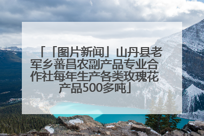 「图片新闻」山丹县老军乡蕃昌农副产品专业合作社每年生产各类玫瑰花产品500多吨