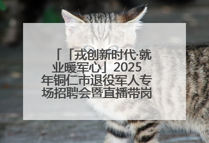 「戎创新时代·就业暖军心」2025年铜仁市退役军人专场招聘会暨直播带岗活动顺利举行