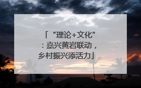“理论+文化”：嘉兴黄岩联动，乡村振兴添活力
