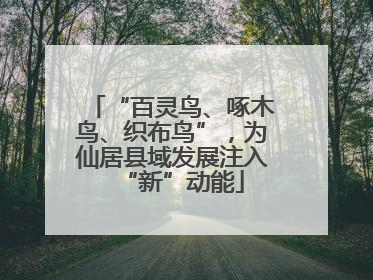 “百灵鸟、啄木鸟、织布鸟”，为仙居县域发展注入“新”动能