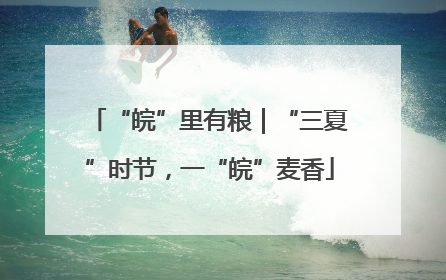 “皖”里有粮｜“三夏”时节，一“皖”麦香