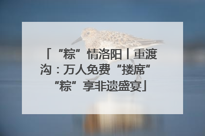“粽”情洛阳丨重渡沟：万人免费“搂席” “粽”享非遗盛宴