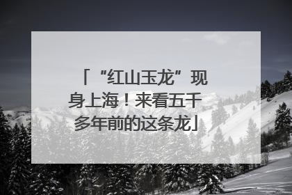“红山玉龙”现身上海！来看五千多年前的这条龙
