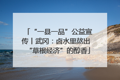 “一县一品”公益宣传丨武冈：卤水里熬出“草根经济”的醇香