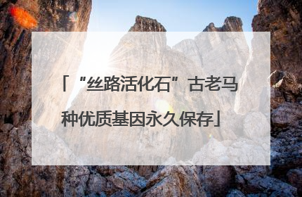 “丝路活化石”古老马种优质基因永久保存