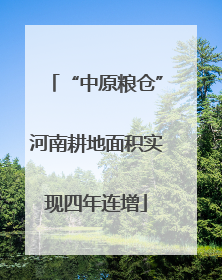 “中原粮仓”河南耕地面积实现四年连增