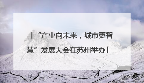 “产业向未来，城市更智慧”发展大会在苏州举办