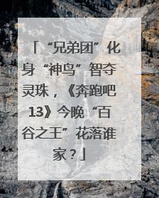 “兄弟团”化身“神鸟”智夺灵珠，《奔跑吧13》今晚“百谷之王”花落谁家？