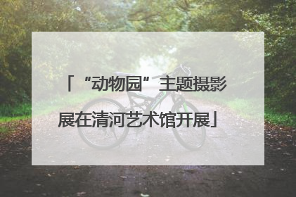 “动物园”主题摄影展在清河艺术馆开展