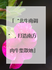“北牛南调”，打造南方肉牛集散地
