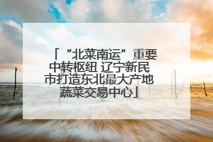 “北菜南运”重要中转枢纽 辽宁新民市打造东北最大产地蔬菜交易中心