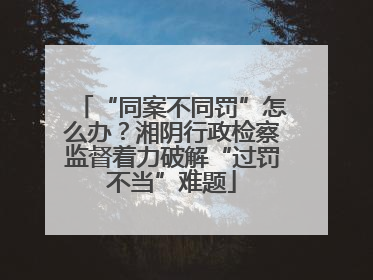 “同案不同罚”怎么办？湘阴行政检察监督着力破解“过罚不当”难题