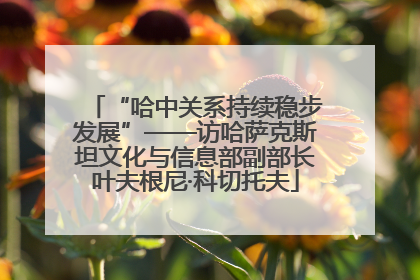 “哈中关系持续稳步发展”——访哈萨克斯坦文化与信息部副部长叶夫根尼·科切托夫