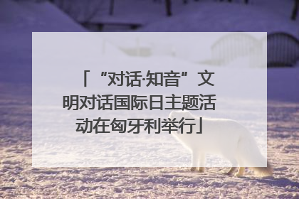 “对话·知音”文明对话国际日主题活动在匈牙利举行