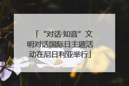 “对话·知音”文明对话国际日主题活动在尼日利亚举行