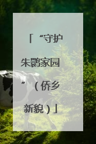 “守护朱鹮家园”（侨乡新貌）
