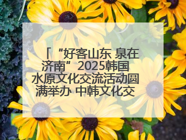 “好客山东 泉在济南”2025韩国水原文化交流活动圆满举办 中韩文化交流再添新彩