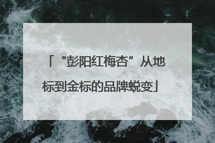 “彭阳红梅杏”从地标到金标的品牌蜕变