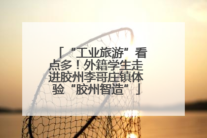 “工业旅游”看点多！外籍学生走进胶州李哥庄镇体验“胶州智造”