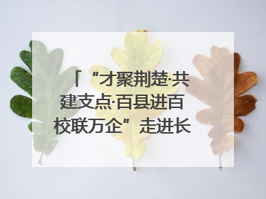 “才聚荆楚·共建支点·百县进百校联万企”走进长江大学文理学院