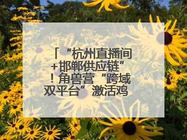 “杭州直播间+邯郸供应链”！角兽营“跨域双平台”激活鸡泽产业新动能