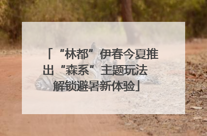 “林都”伊春今夏推出“森系”主题玩法 解锁避暑新体验