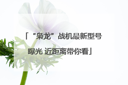 “枭龙”战机最新型号曝光 近距离带你看