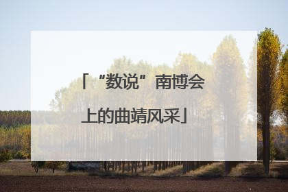 “数说”南博会上的曲靖风采