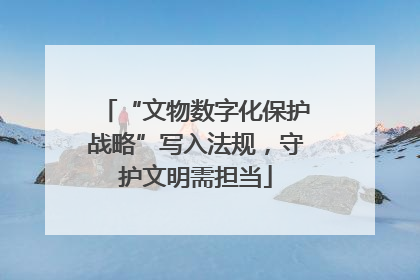 “文物数字化保护战略”写入法规，守护文明需担当