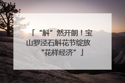 “斛”然开朗！宝山罗泾石斛花节绽放“花样经济”