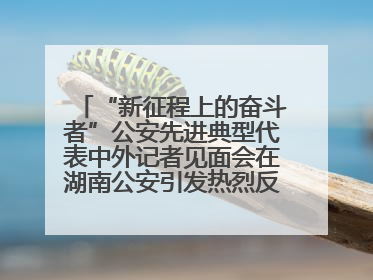 “新征程上的奋斗者”公安先进典型代表中外记者见面会在湖南公安引发热烈反响(二)