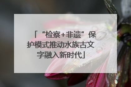 “检察+非遗”保护模式推动水族古文字融入新时代