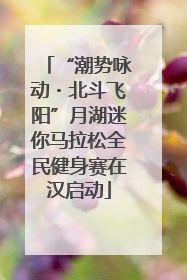 “潮势咏动・北斗飞阳”月湖迷你马拉松全民健身赛在汉启动