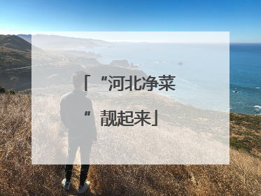 “河北净菜”靓起来