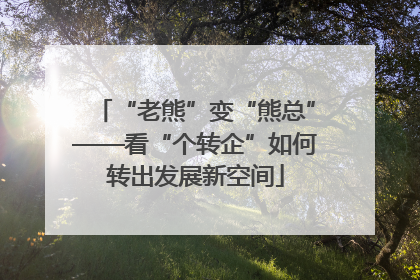 “老熊”变“熊总”——看“个转企”如何转出发展新空间