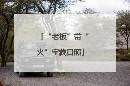 “老板”带“火”宝藏日照