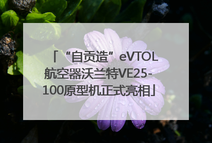 “自贡造”eVTOL航空器沃兰特VE25-100原型机正式亮相