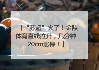“苏超”火了！金陵体育直线拉升，几分钟20cm涨停！