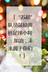 “苏超”队员鼓励黄桥足球小将：加油，未来属于你们！