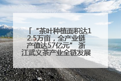 “茶叶种植面积达12.5万亩，全产业链产值达57亿元” 浙江武义茶产业全链发展“加速度”