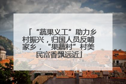 “蔬果义工”助力乡村振兴，归国人员反哺家乡，“果蔬村”村美民富香飘远近