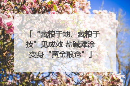 “藏粮于地、藏粮于技”见成效 盐碱滩涂变身“黄金粮仓”