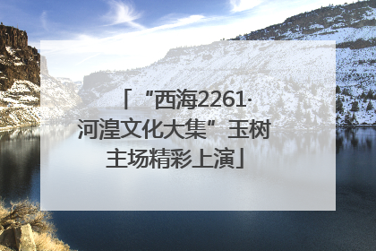 “西海2261·河湟文化大集”玉树主场精彩上演