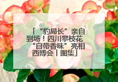 “豹局长”亲自到场！四川攀枝花“自带香味”亮相西博会丨图集