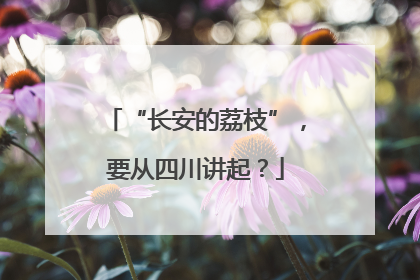 “长安的荔枝”，要从四川讲起？